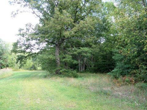 13575 Bueche Road Montrose, MI 48457 - Photo 15 of 16 20274370-14.JPG