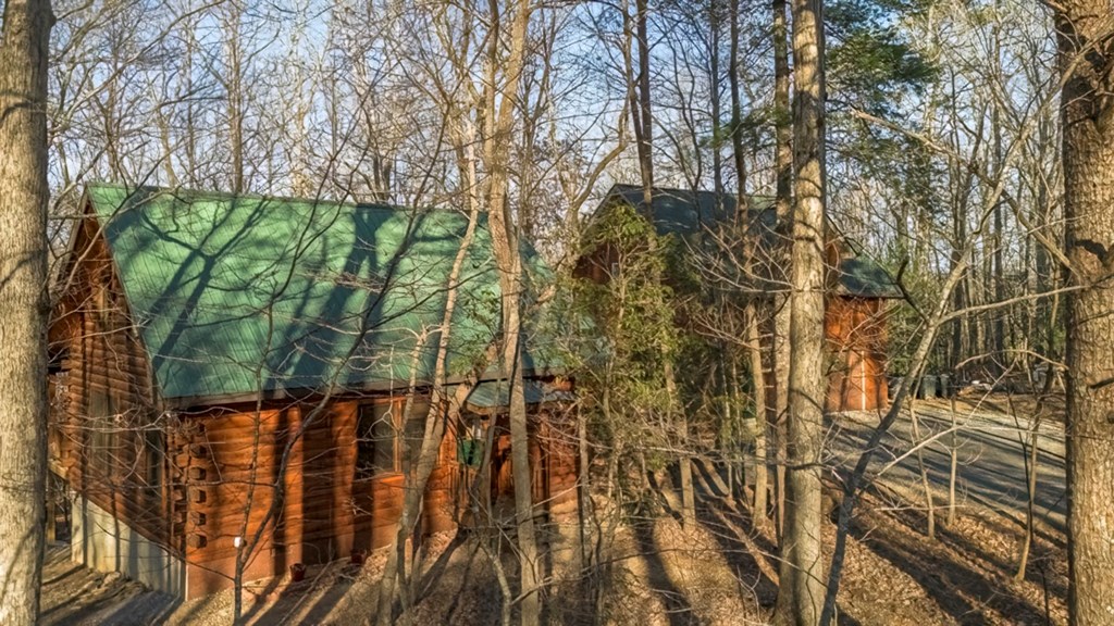 276 Payne Way Blairsville, GA 30512 - Photo 24 of 27