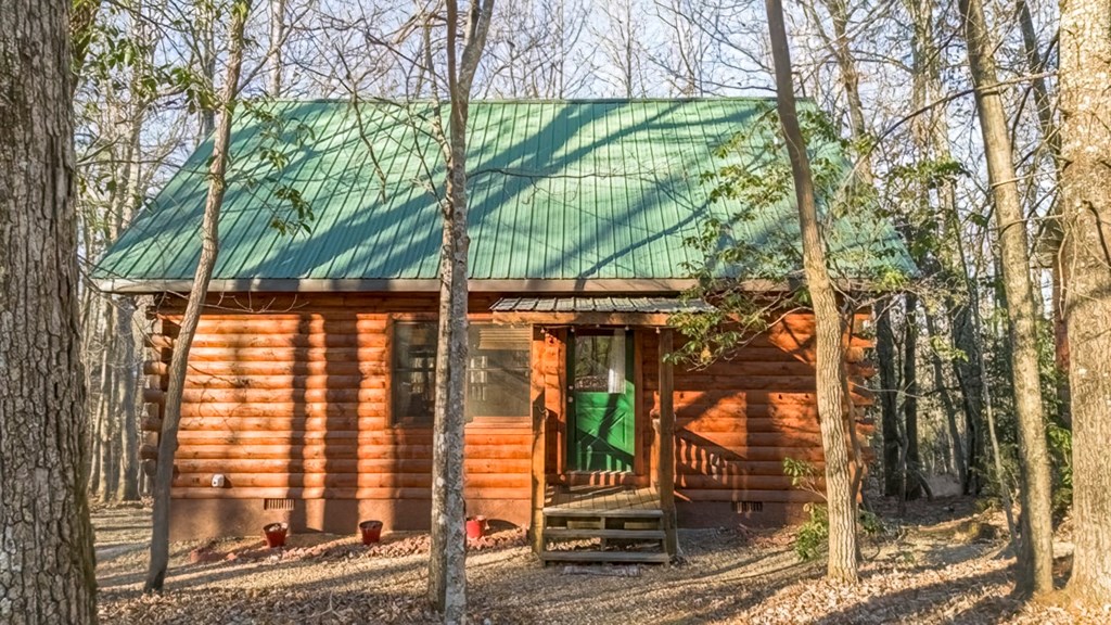 276 Payne Way Blairsville, GA 30512 - Photo 26 of 27