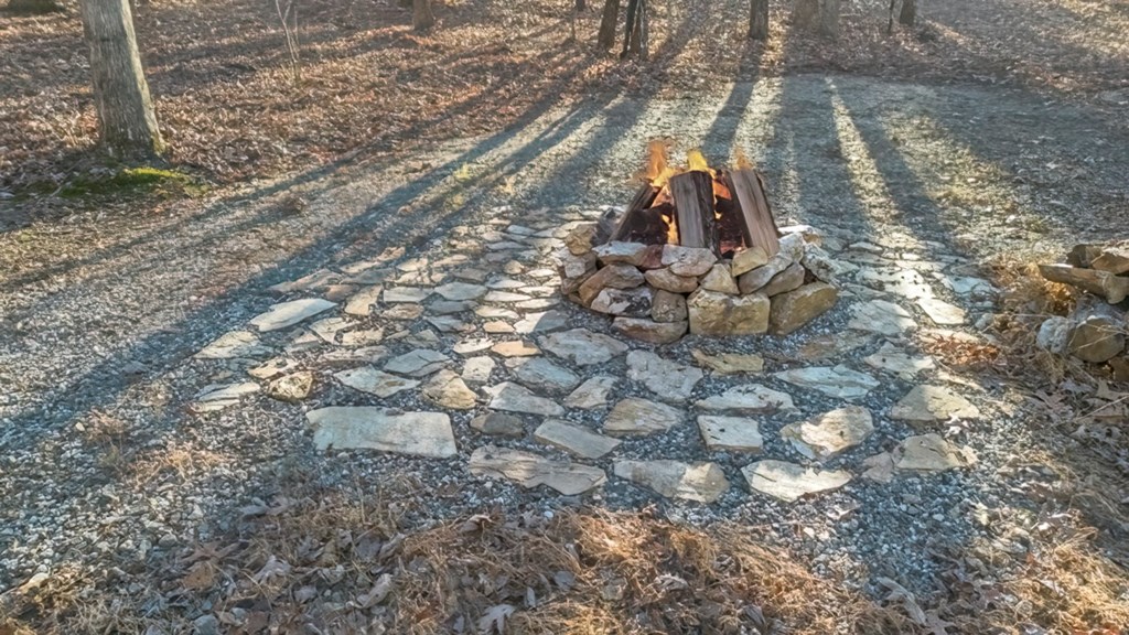 276 Payne Way Blairsville, GA 30512 - Photo 27 of 27