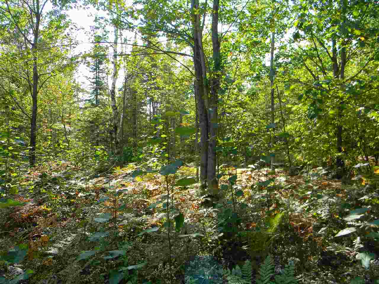 1463 Wiltse Road Lupton, MI 48635 - Photo 47 of 54 1835295-46.JPG