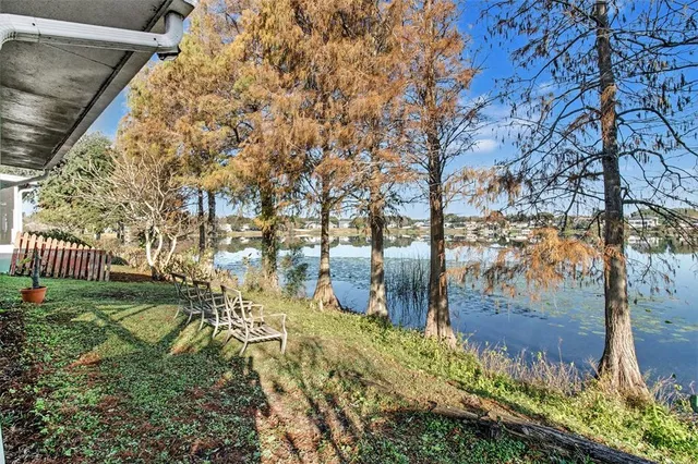 a view of yard with green space