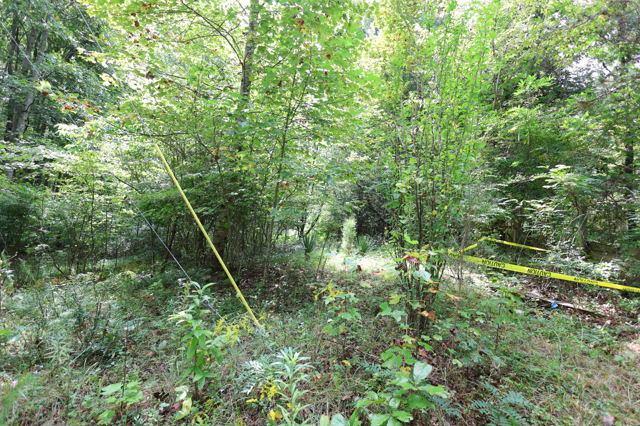 245 Woolf Pass Lane Sparta, TN 38583 - Photo 13 of 15 a backyard of a house with lots of green space