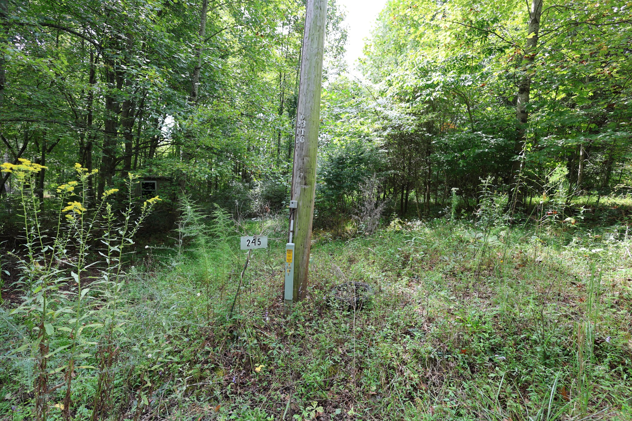 245 Woolf Pass Lane Sparta, TN 38583 - Photo 15 of 15 a view of a forest
