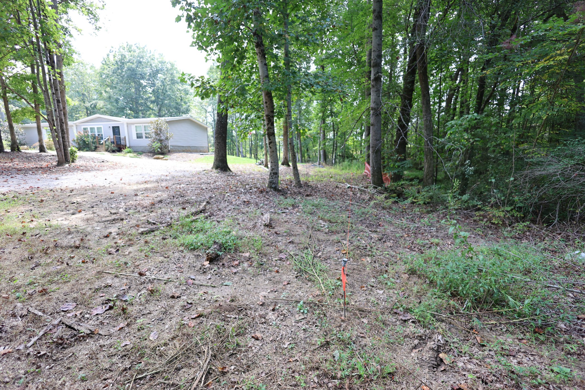 245 Woolf Pass Lane Sparta, TN 38583 - Photo 2 of 15 a view of a backyard with large trees