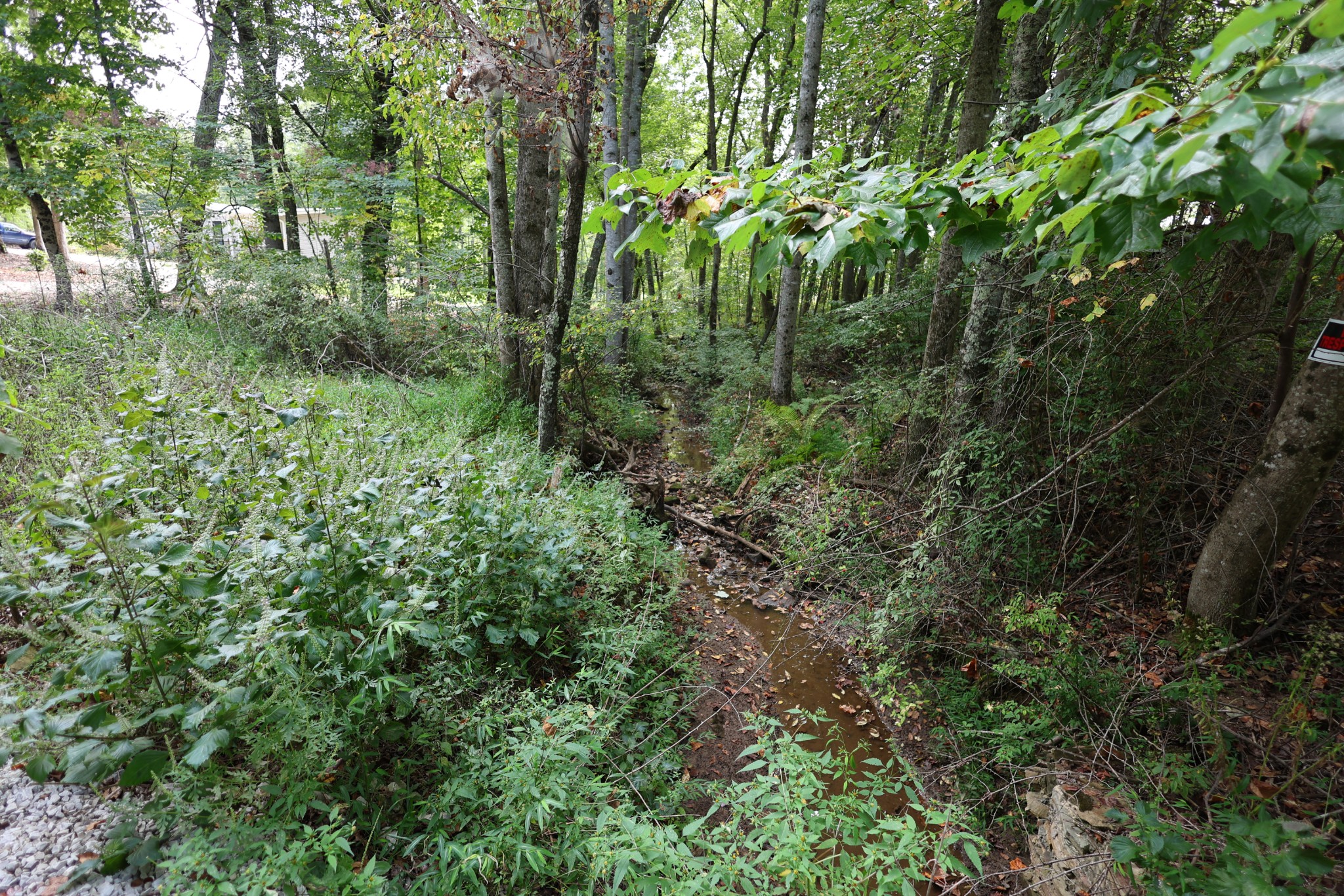 245 Woolf Pass Lane Sparta, TN 38583 - Photo 4 of 15 a plant view in yard