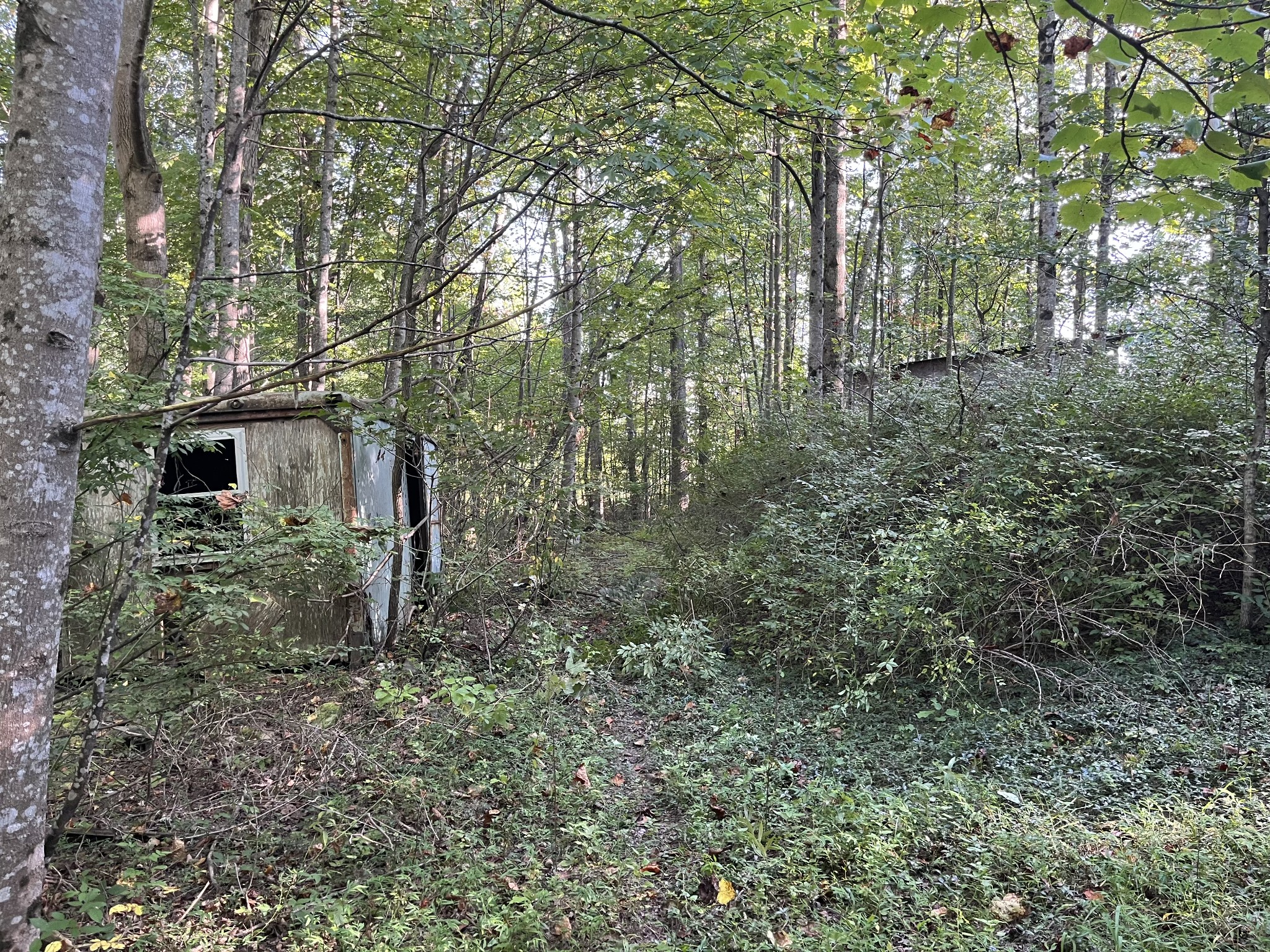 245 Woolf Pass Lane Sparta, TN 38583 - Photo 6 of 15 a backyard of a house with lots of green space