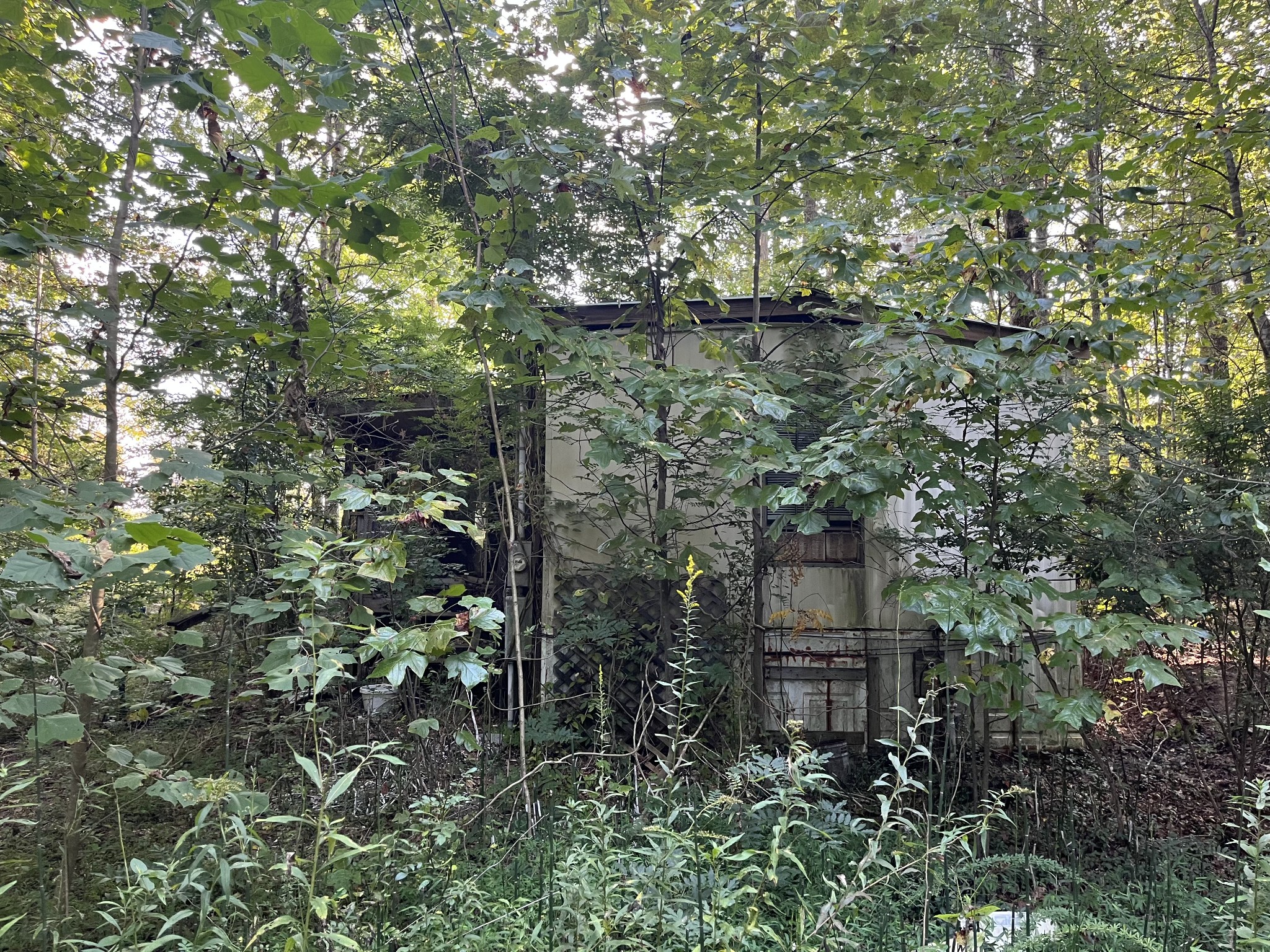 245 Woolf Pass Lane Sparta, TN 38583 - Photo 8 of 15 a view of a house with a tree