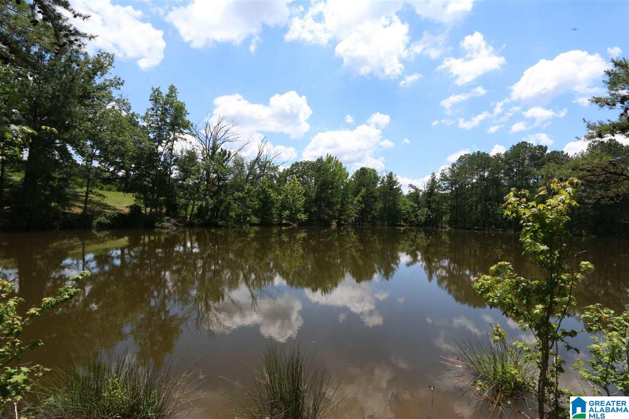 1900 Kiowa Road Remlap, AL 35133 - Photo 36 of 36