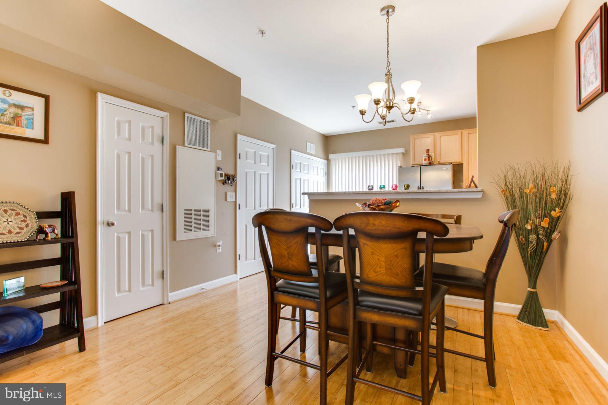 42403 Hollyhock Terrace Brambleton, VA 20148 - Photo 2 of 23