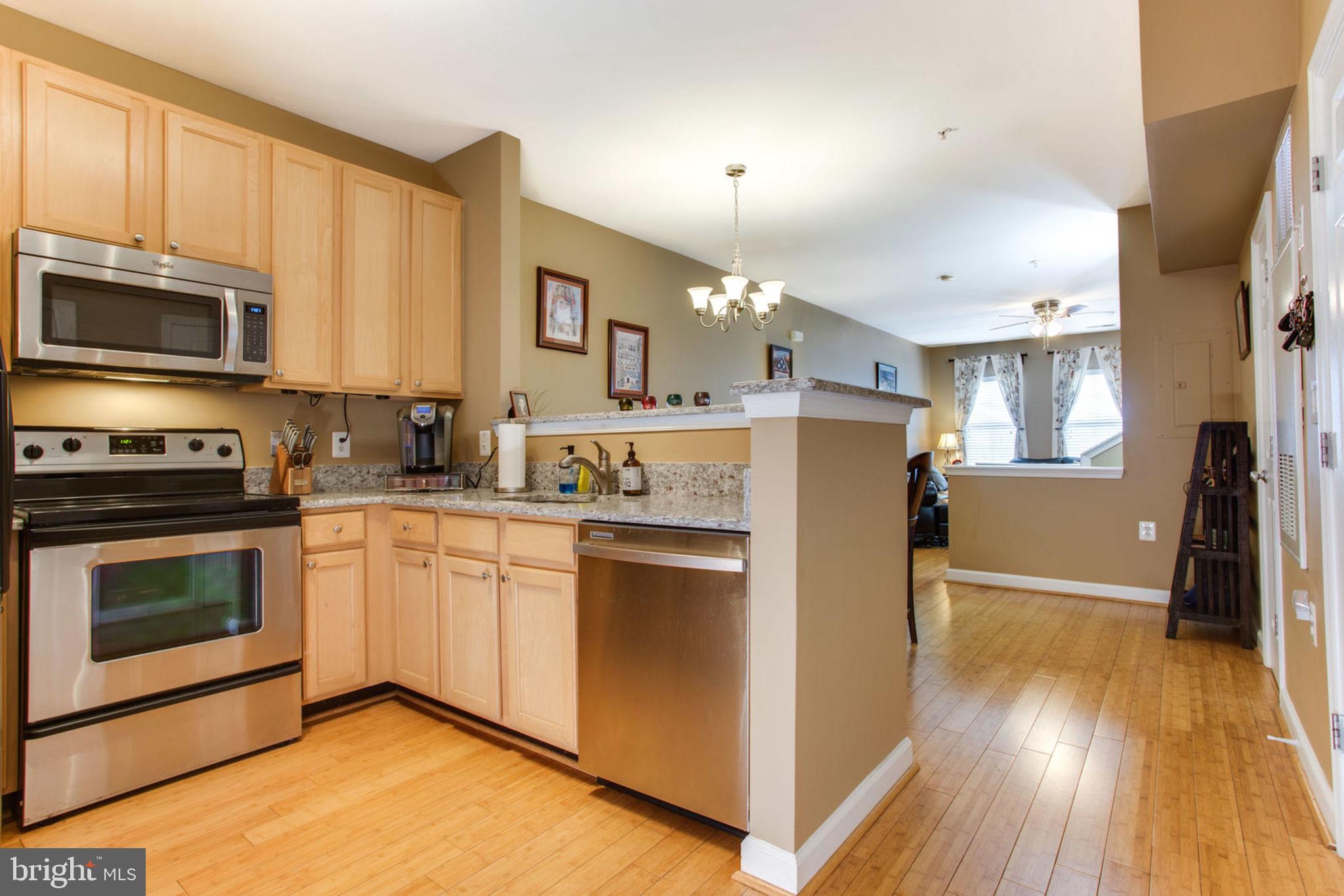 42403 Hollyhock Terrace Brambleton, VA 20148 - Photo 5 of 23