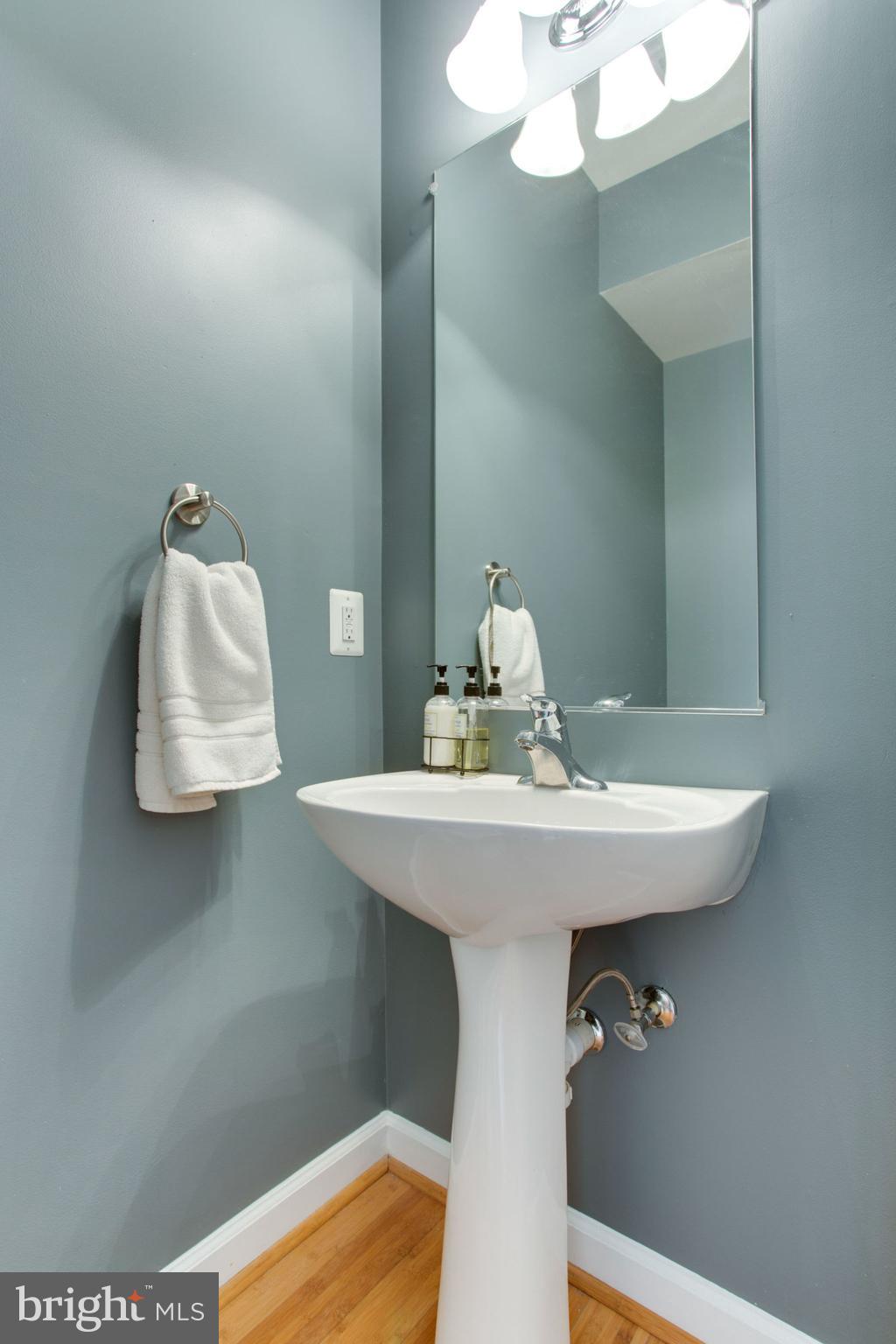 42403 Hollyhock Terrace Brambleton, VA 20148 - Photo 7 of 23