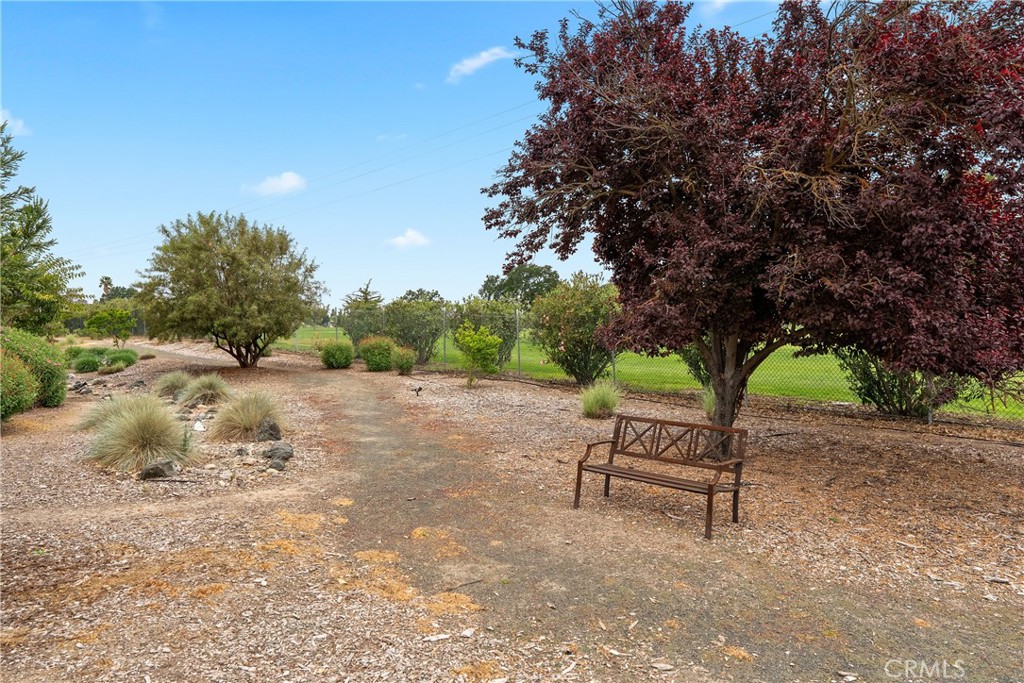 18 Flag Way Paso Robles, CA 93446 - Photo 21 of 22 a park view with a bench and trees