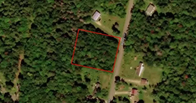 a bird view of building