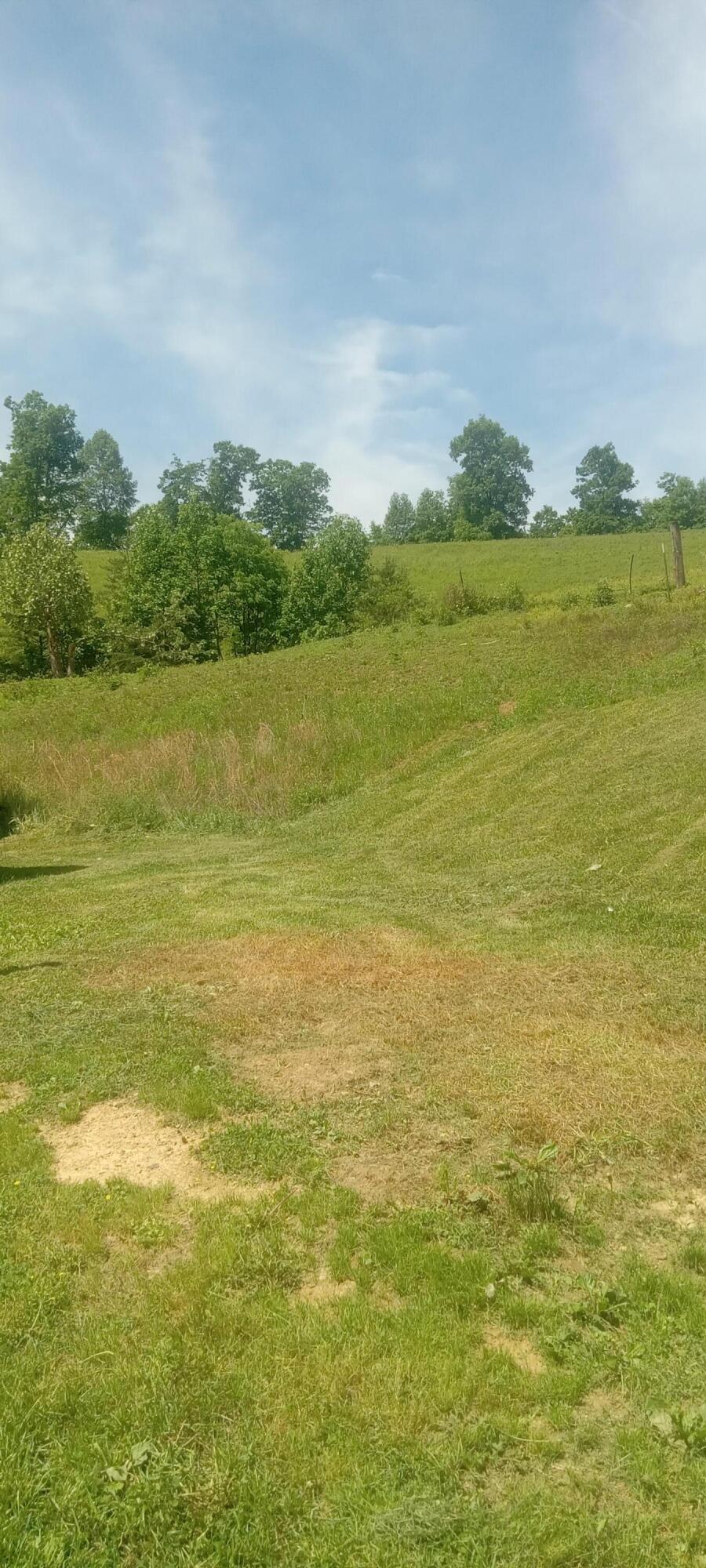 892 Pryse Road Booneville, KY 41314 - Photo 21 of 28 1000005358