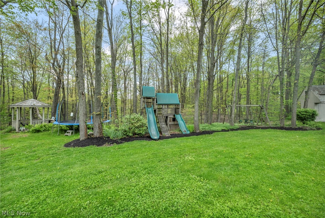 5168 Townsend Road Richfield, OH 44286 - Photo 48 of 50 Playground area