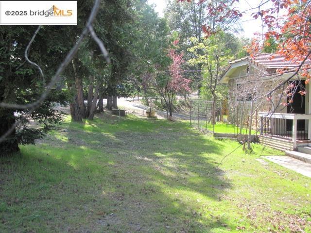 20280 Little Valley Road Groveland, CA 95321 - Photo 31 of 32 a view of a park with a tree