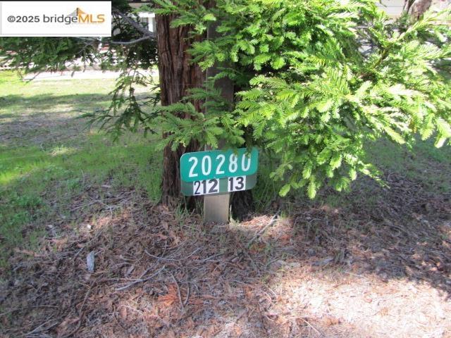 20280 Little Valley Road Groveland, CA 95321 - Photo 4 of 32 a view of a yard with plants and tree