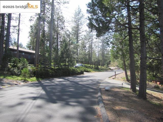 20280 Little Valley Road Groveland, CA 95321 - Photo 5 of 32 a view of a road with a trees