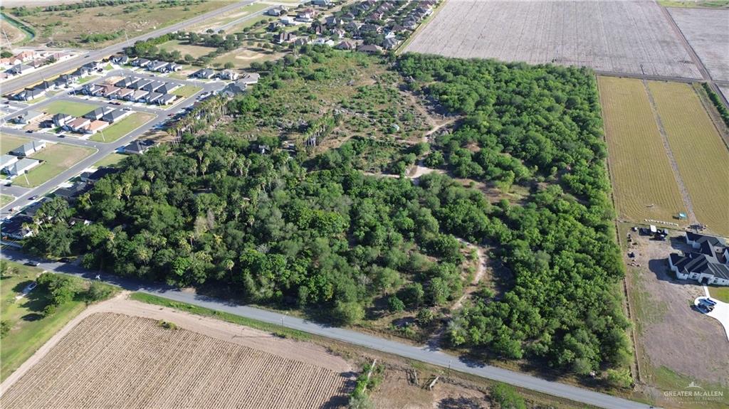 a view of a garden with a pathway