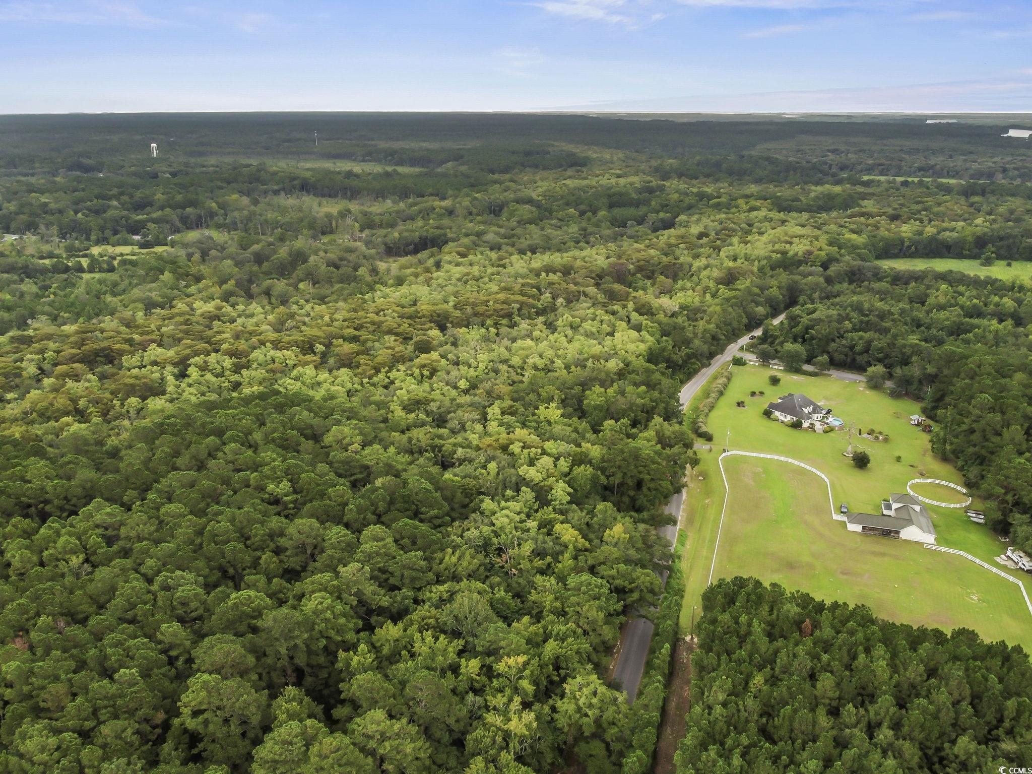 Lot 13 County Rd S-22-744 Georgetown, SC 29440 - Photo 3 of 12