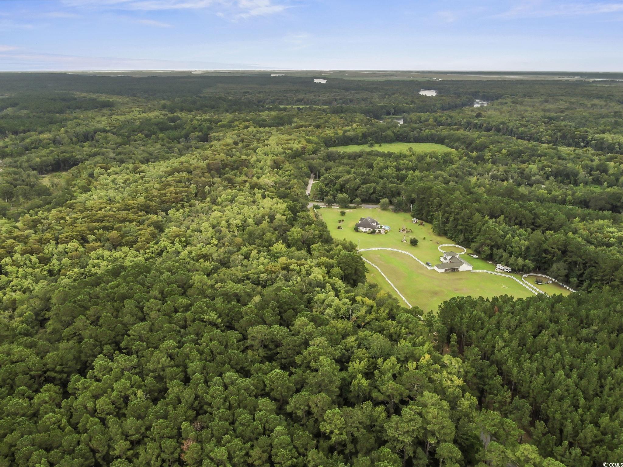 Lot 13 County Rd S-22-744 Georgetown, SC 29440 - Photo 4 of 12