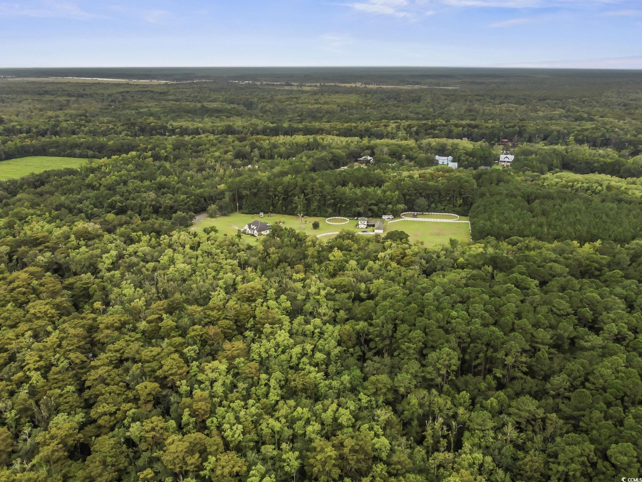 Lot 13 County Rd S-22-744 Georgetown, SC 29440 - Photo 6 of 12