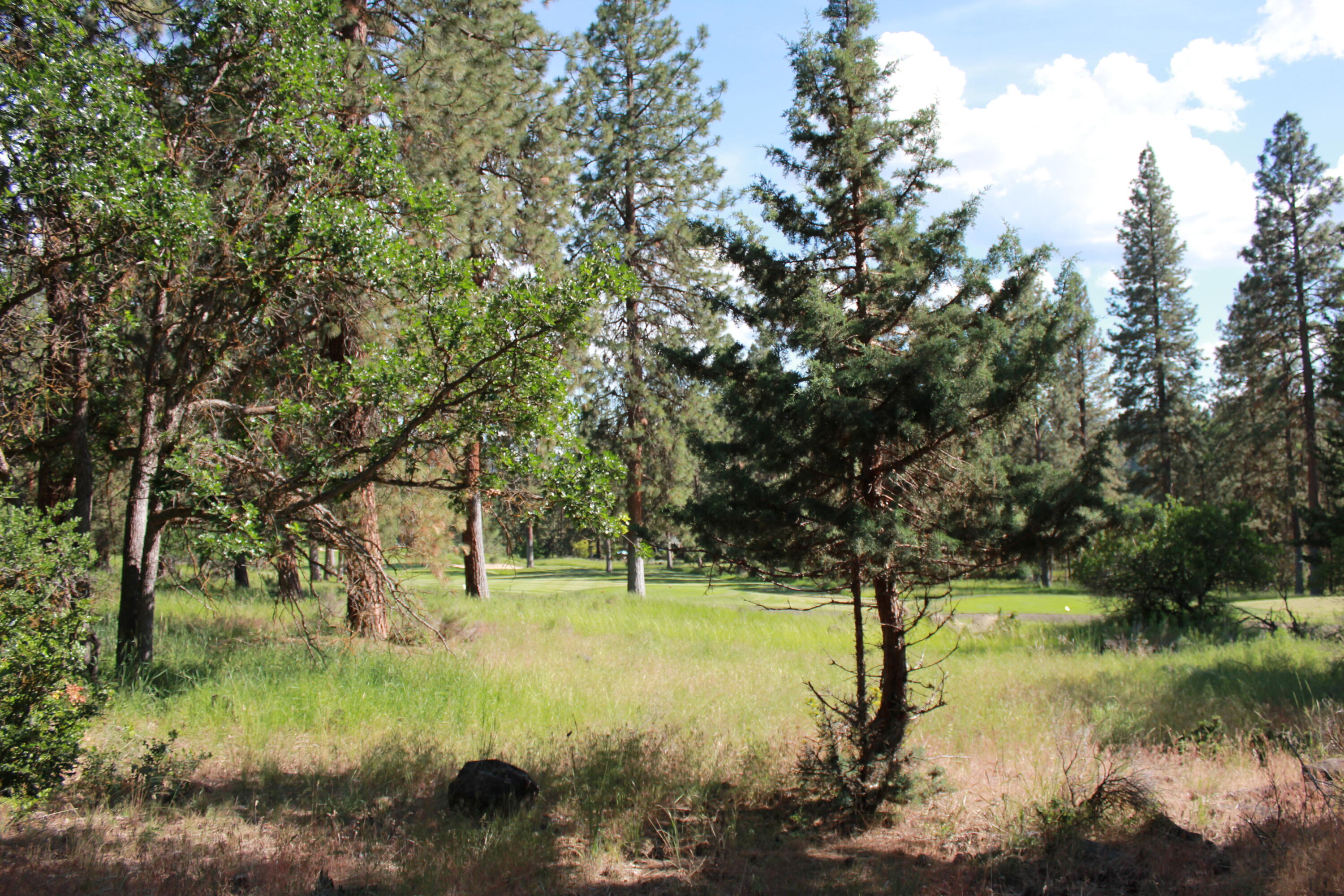 Lot 165 Kestrel Road Klamath Falls, OR 97601 - Photo 12 of 28 IMG_8468