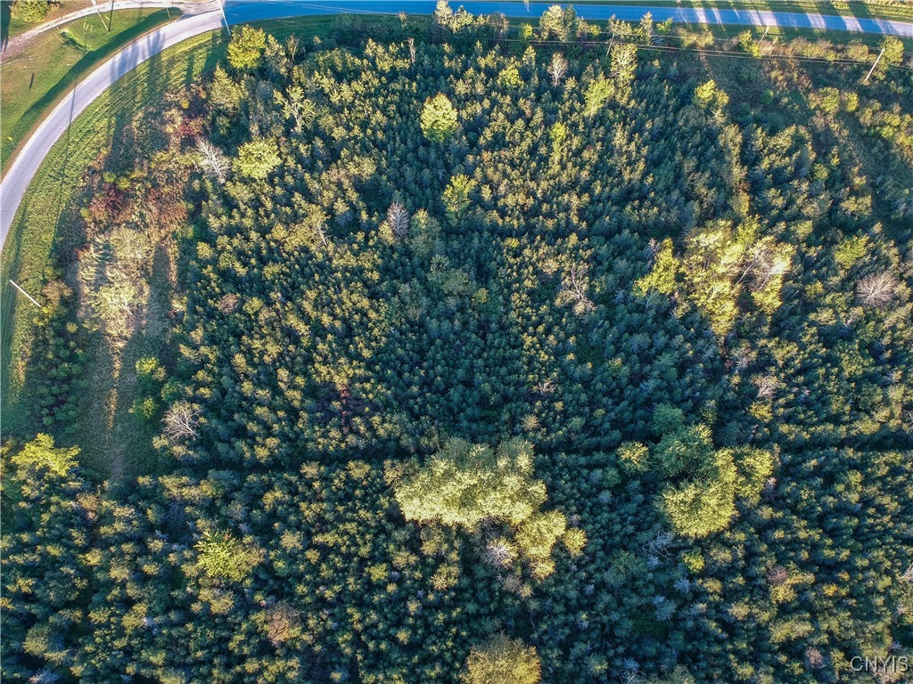 Tubolino Road La Fargeville, NY 13656 - Photo 4 of 12