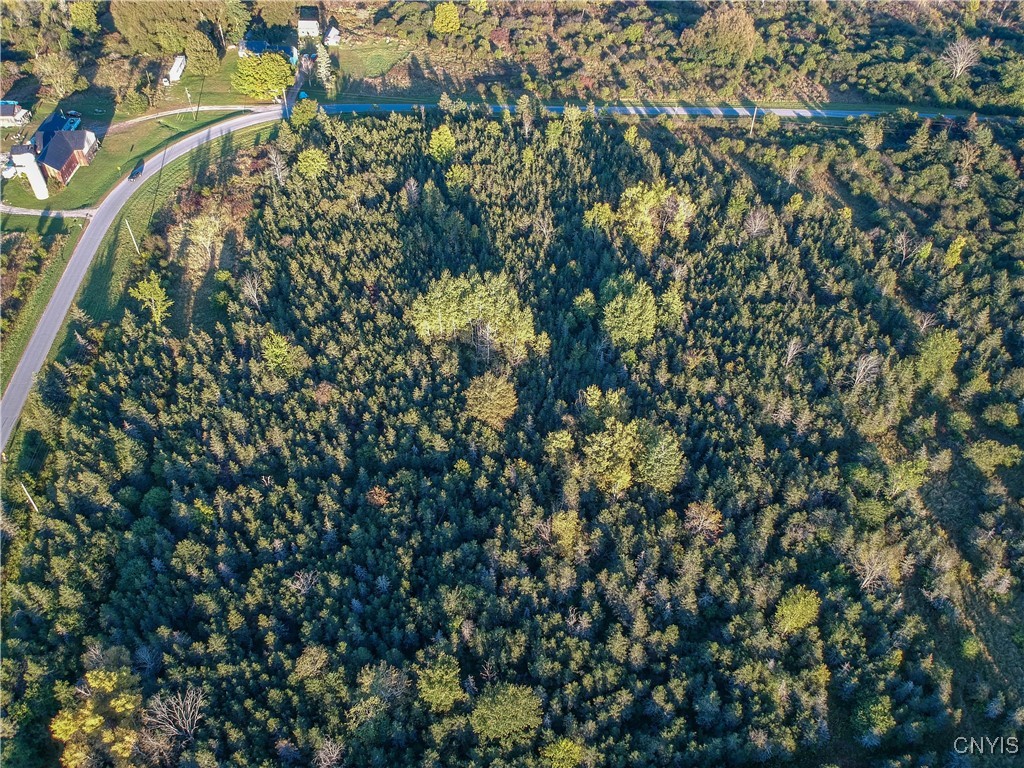 Tubolino Road La Fargeville, NY 13656 - Photo 5 of 12