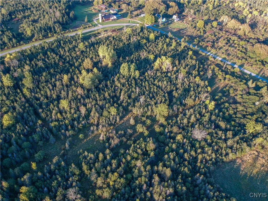Tubolino Road La Fargeville, NY 13656 - Photo 6 of 12