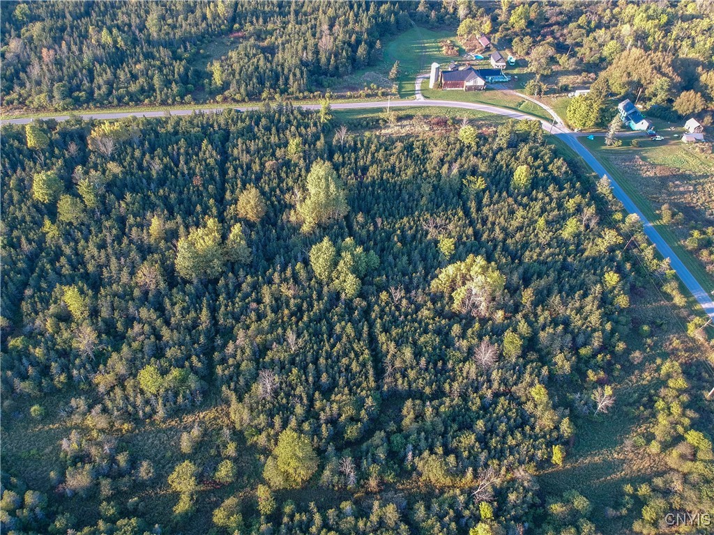 Tubolino Road La Fargeville, NY 13656 - Photo 7 of 12