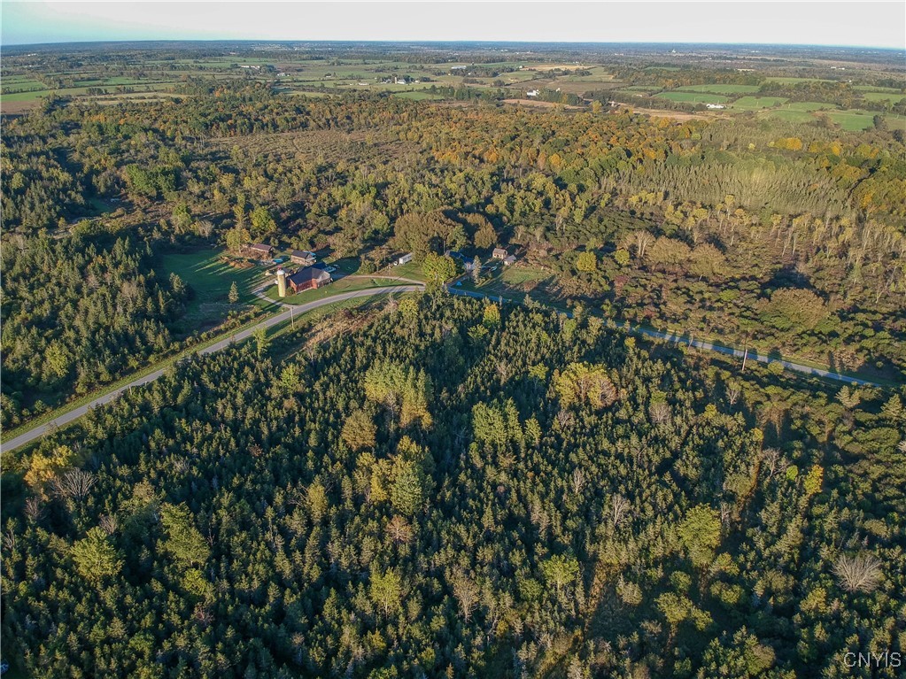 Tubolino Road La Fargeville, NY 13656 - Photo 8 of 12