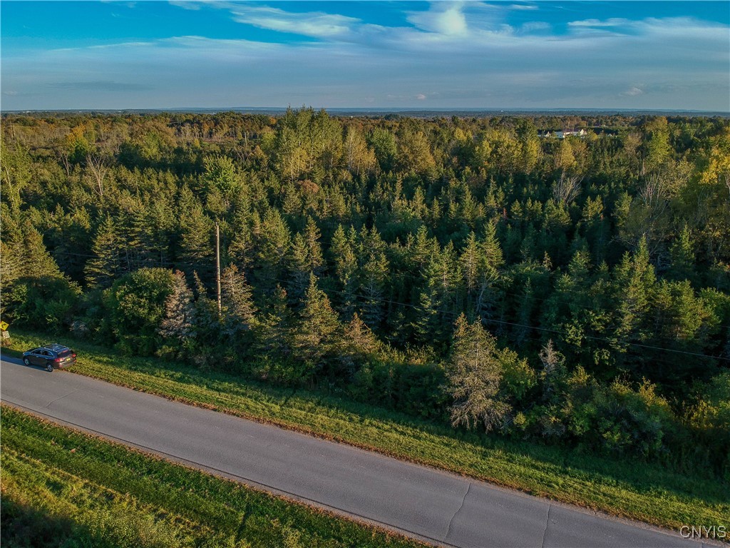 Tubolino Road La Fargeville, NY 13656 - Photo 10 of 12