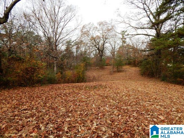 351 Beasley Road Gardendale, AL 35071 - Photo 3 of 6