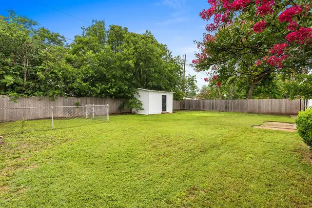a view of a back yard with an tree