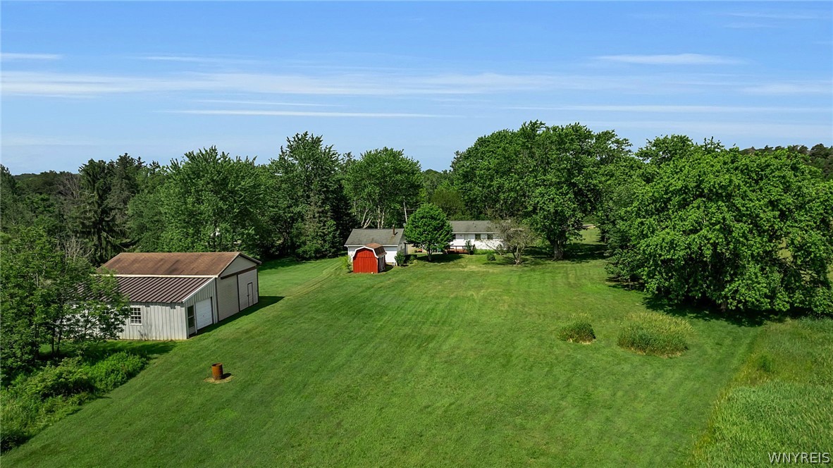 8009 Lewis Road Colden, NY 14080 - Photo 4 of 50