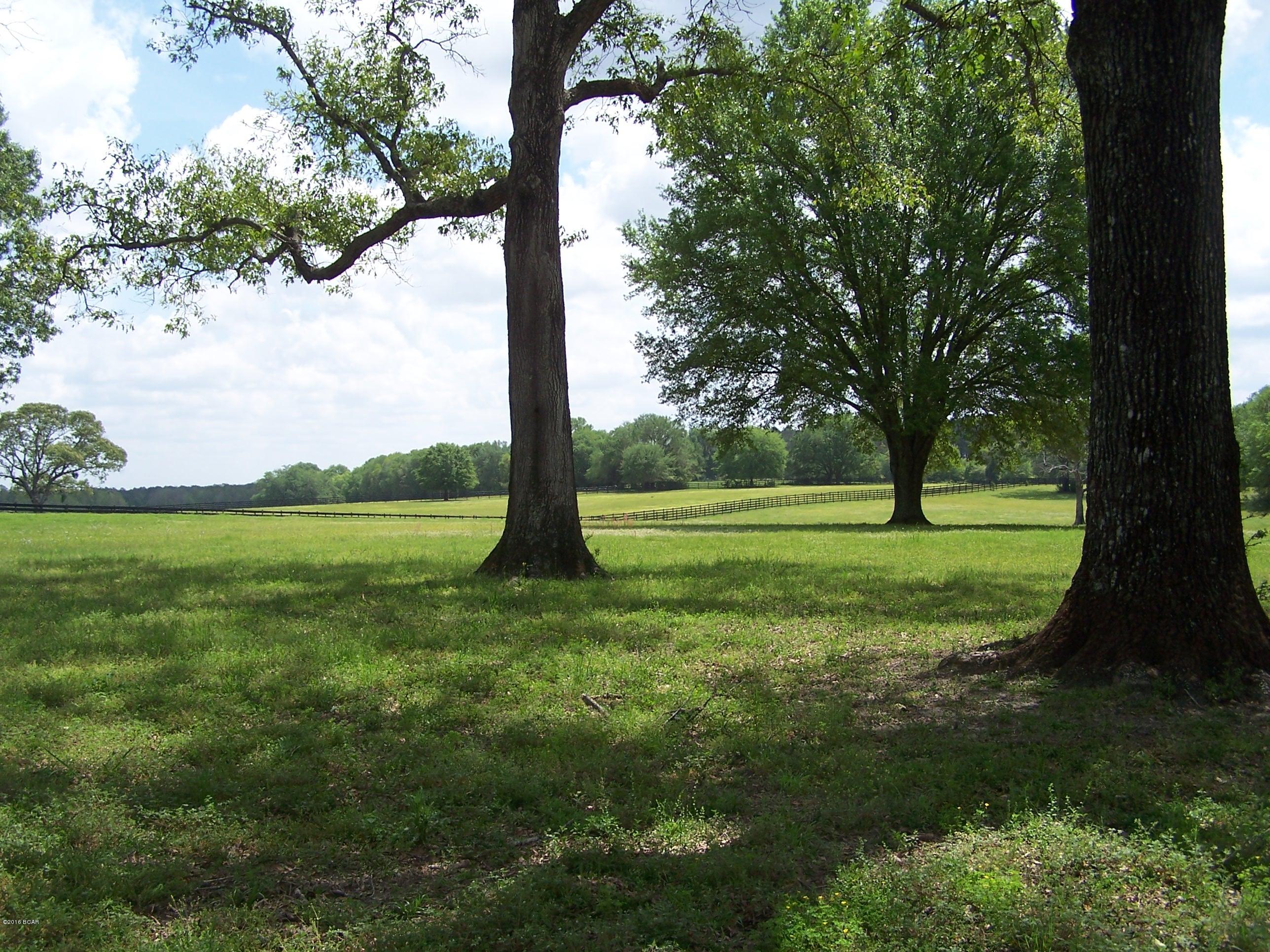 1059 Wilcox Crossing Road Bonifay, FL 32425 - Photo 43 of 70 Gallery Image 43