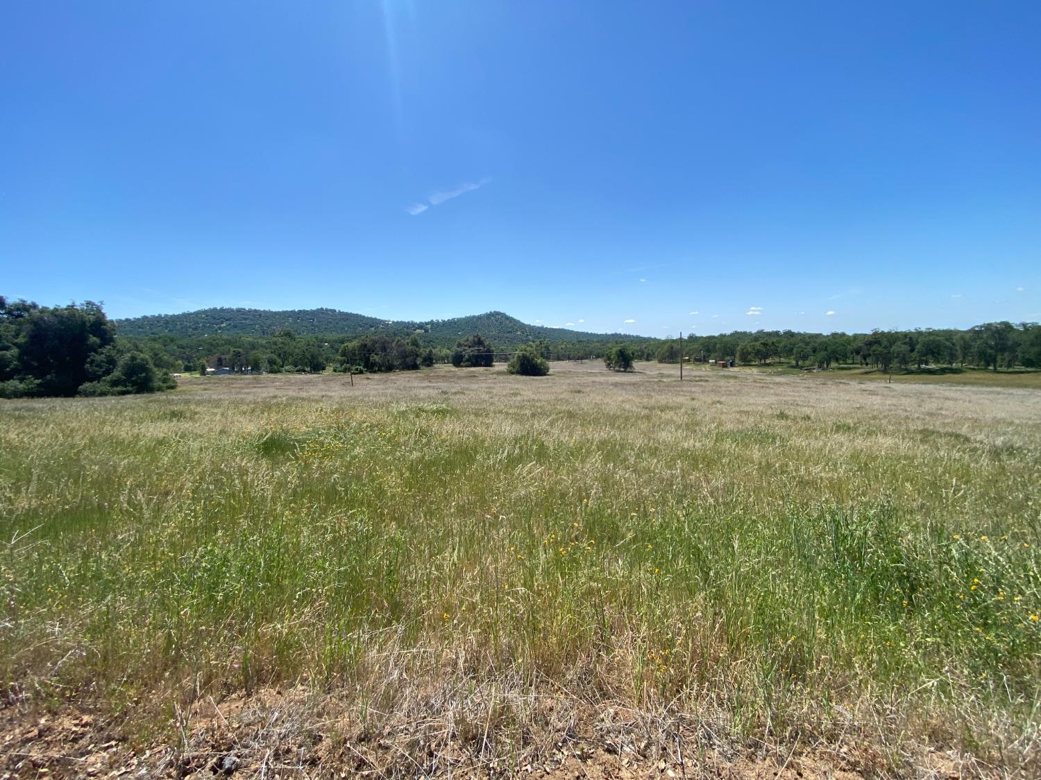 194 Ruth Hill Road Squaw Valley, CA 93675 - Photo 4 of 9 Gallery Image 4