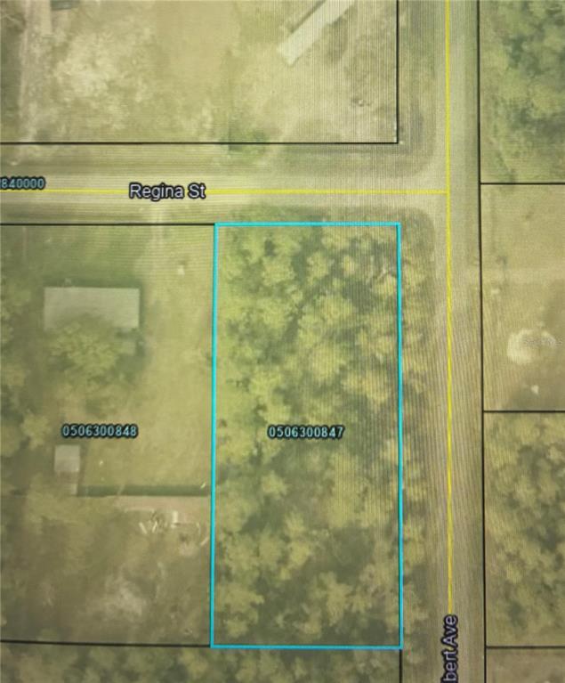 4205 Regina Street Hastings, FL 32145 - Photo 2 of 2