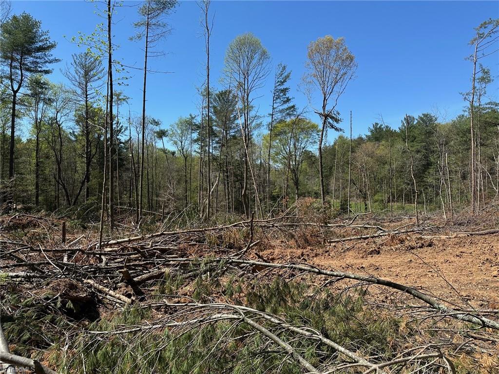 2 Sylvan Road Thurmond, NC 28683 - Photo 2 of 4