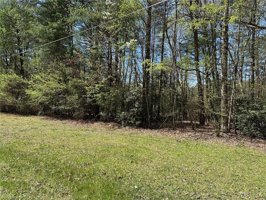 2 Sylvan Road Thurmond, NC 28683 - Photo 3 of 4