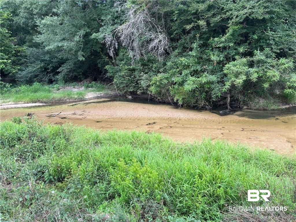 0 Circle R Farm Drive Florala, AL 36442 - Photo 23 of 25