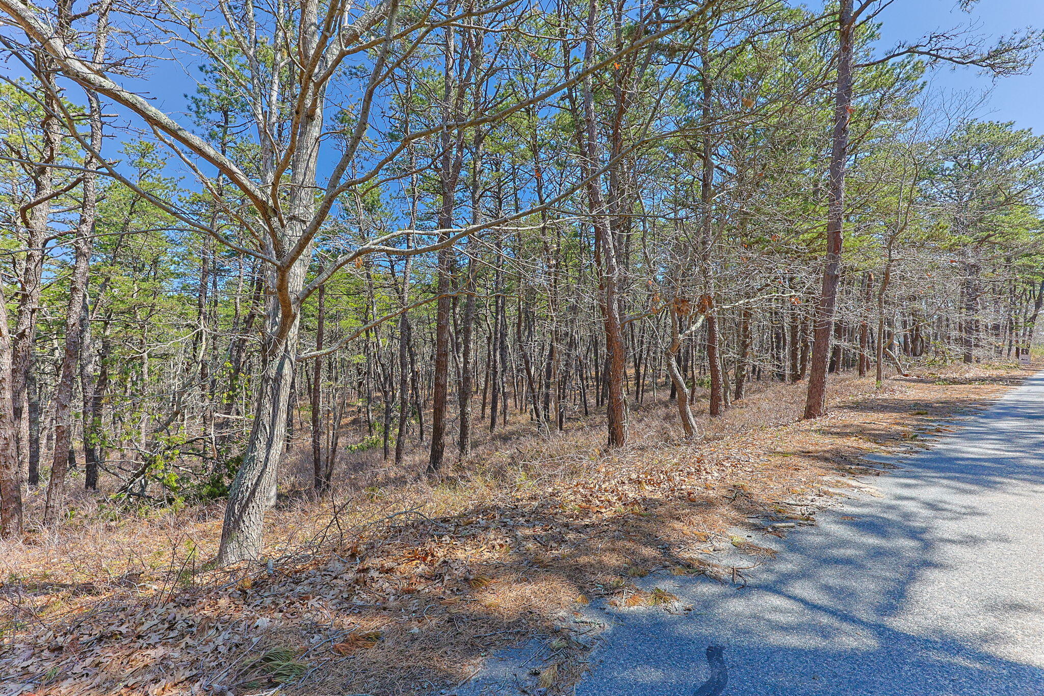 175 Delphi Path Wellfleet, MA 02667 - Photo 2 of 25 1-web-or-mls-175-delphi-path