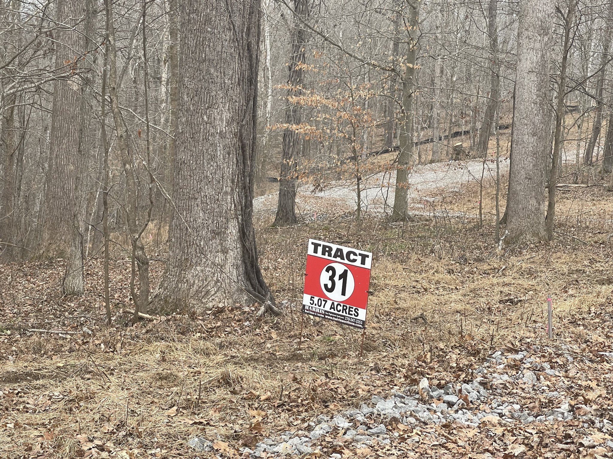 31 Fox Way Pointe Pt