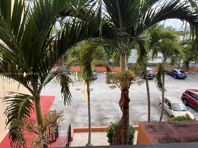 a picture of palm trees