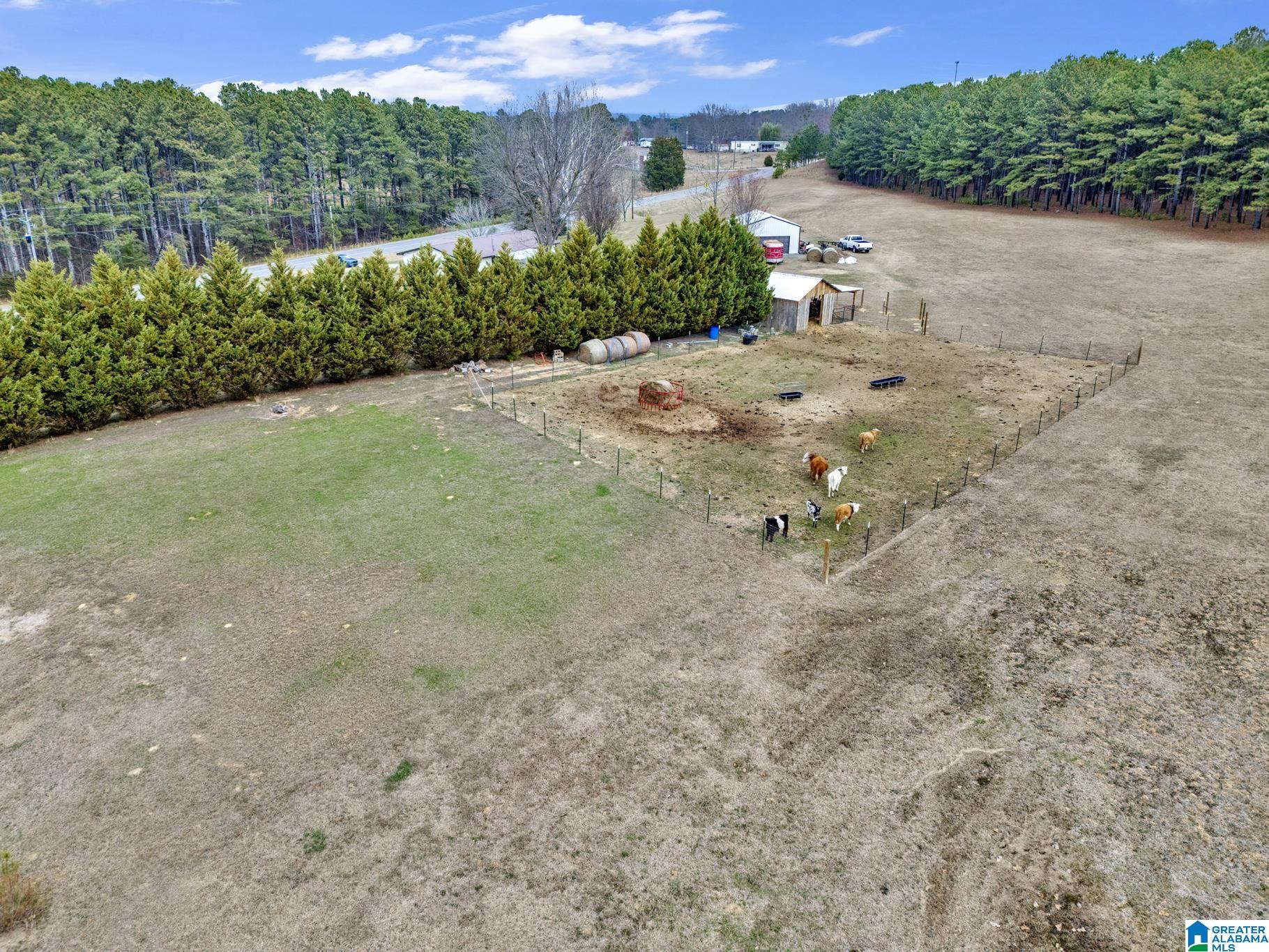 5743 County Road 27 Springville, AL 35146 - Photo 34 of 43