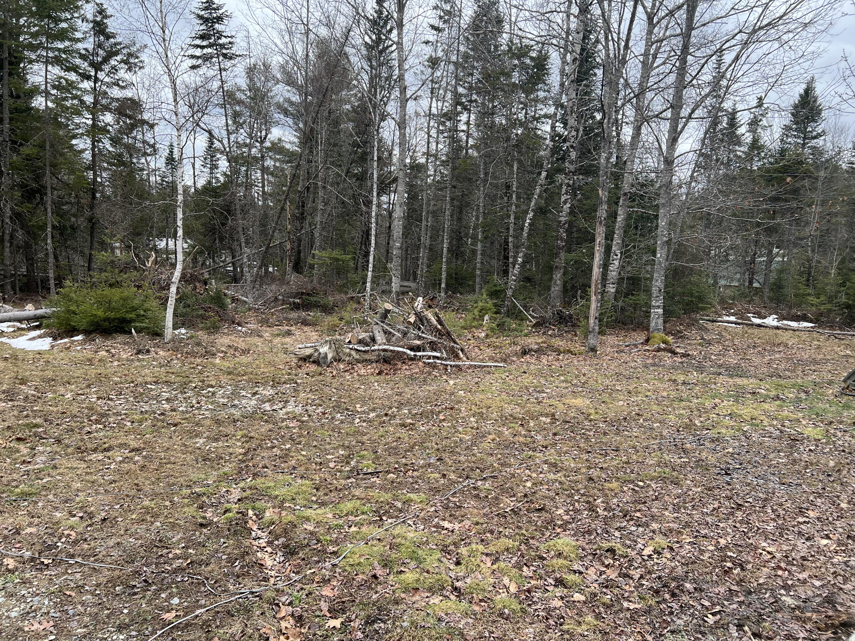 57 Dennis Road Orland, ME 04472 - Photo 8 of 13 IMG_8307