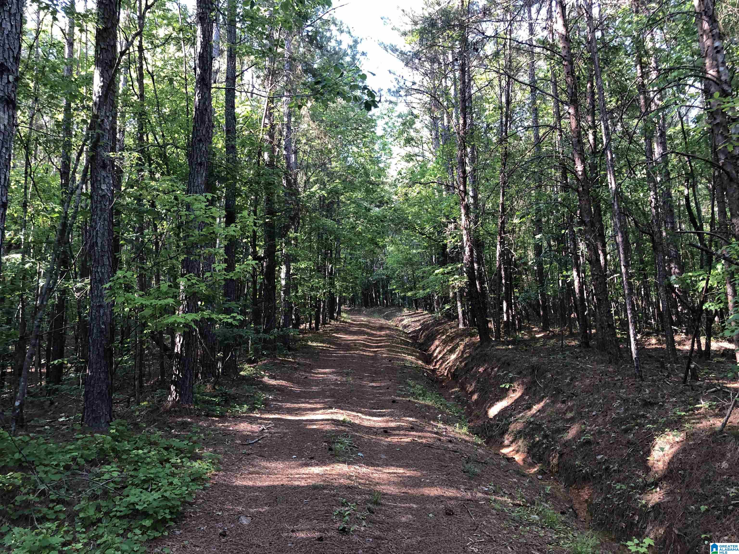 Copper Road Columbiana, AL 35051 - Photo 21 of 56 Gallery Image 21