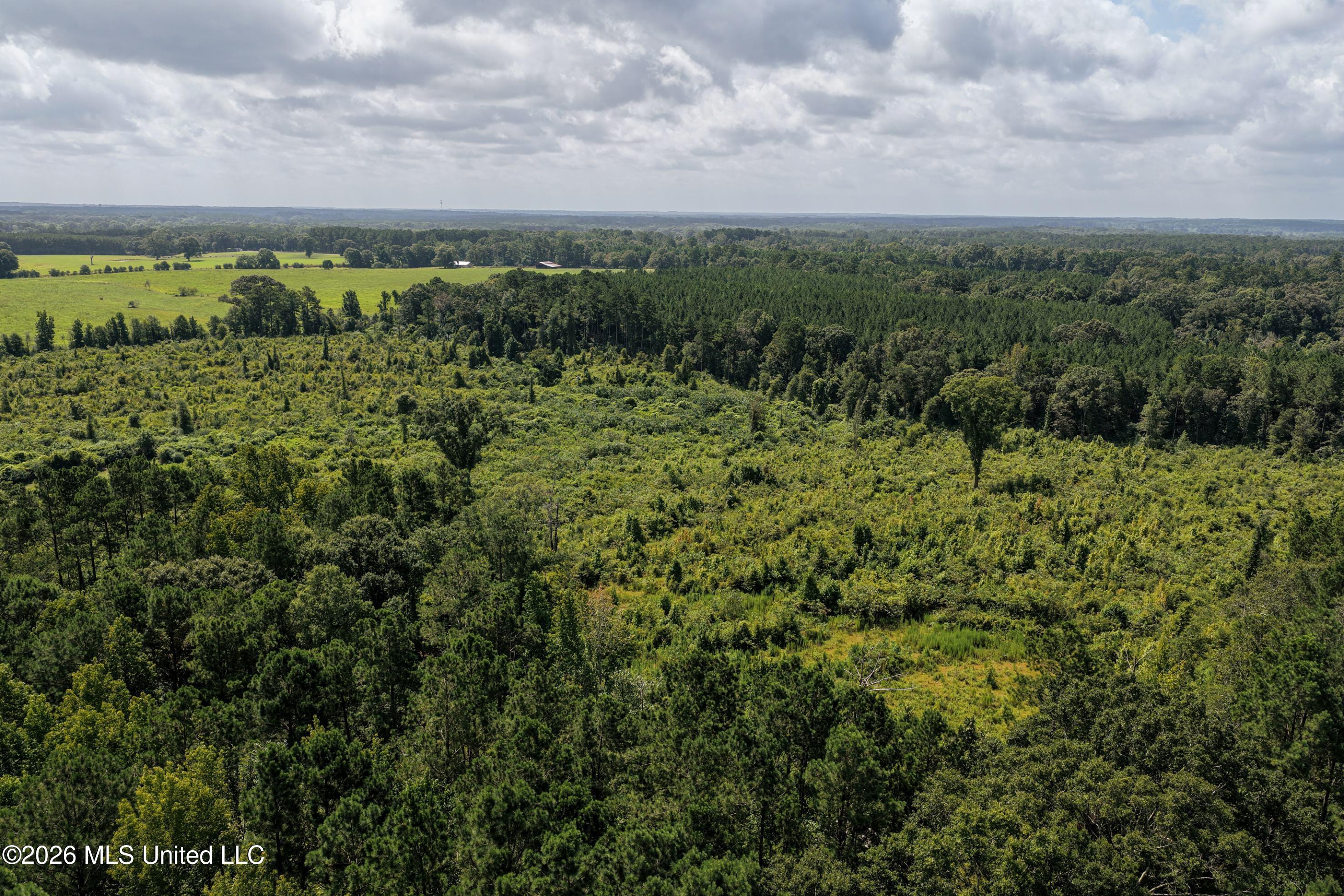 DJI_20260723110503_0104_D